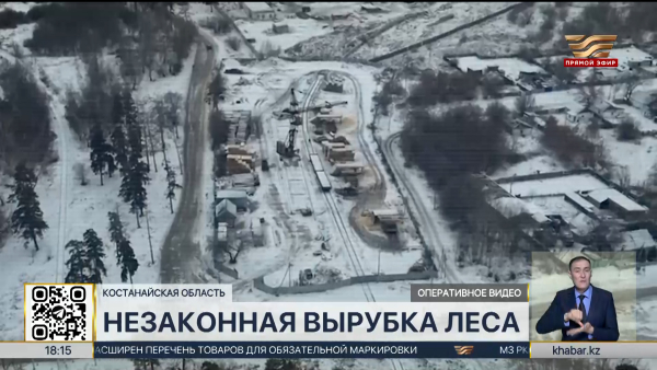 Нелегальных лесорубов задержали в Костанайской области
