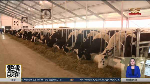 Агроөнеркәсіптің жетістіктері қандай?
