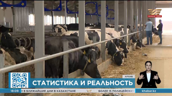Приписки на 2 млн голов скота и 3 млн тонн молока выявили в Казахстане