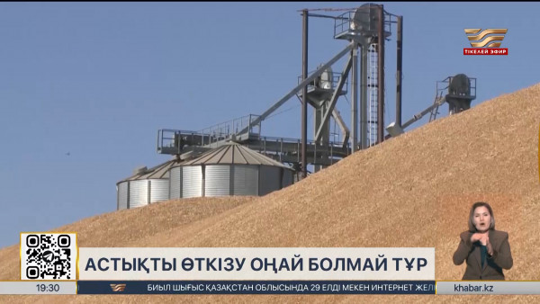 Үкімет шаруалардан астық сатып алуға 10 млрд теңге бөледі