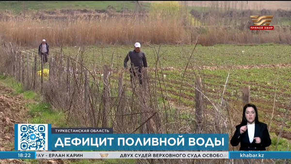 Подача поливной воды возобновится в Туркестанской области