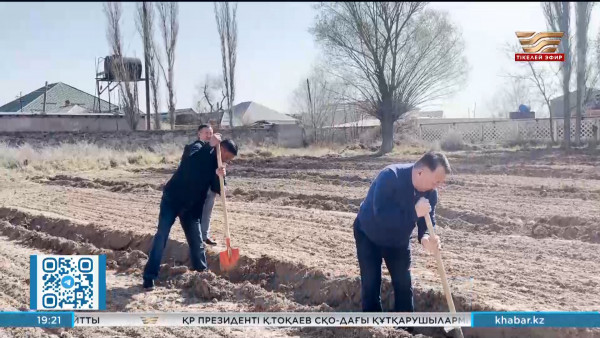 Түркістан облысында 25 мың түп көшет отырғызылды