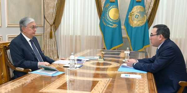 Глава государства принял акима Алматинской области Марата Султангазиева