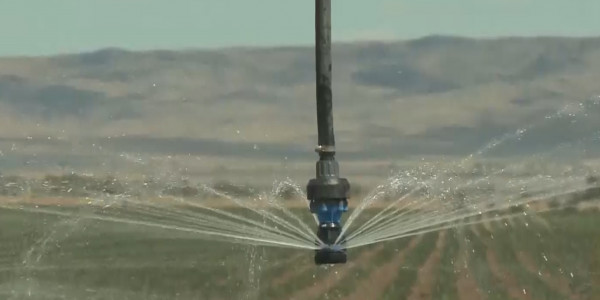 Ирригационные системы в 105 тыс. гектаров будут модернизированы