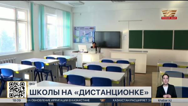 Школьников частично перевели на дистанционное обучение в регионах РК