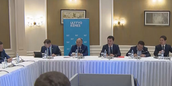 Ерлан Қарин: референдум саяси жүйені толық жаңғыртады