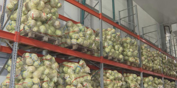 Келер жылы елімізде көкөніс тағы екі есе қымбаттауы мүмкін