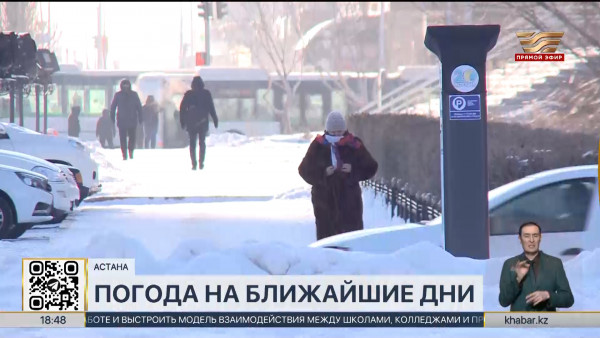 Метель и морозы обещают в Казахстане в предстоящие 3 дня