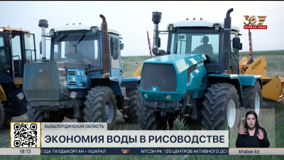 60 тысяч га рисовых полей выровняли в Кызылординской области