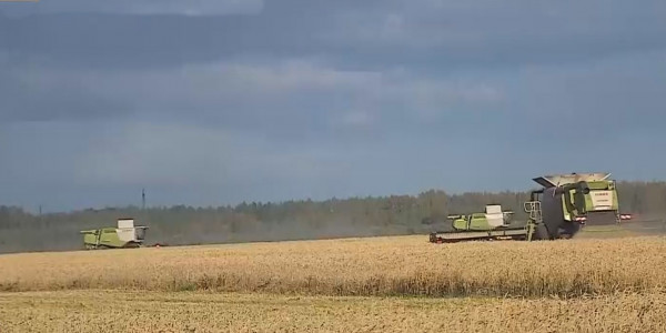 Қасым-Жомарт Тоқаев Солтүстік Қазақстандағы астық жинау науқанымен танысты