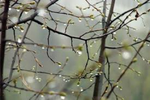 Қазақстанның басым бөлігінде тұрақсыз ауа райы сақталады