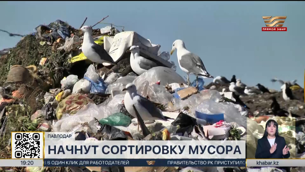 Центр сортировки отходов запустят в Павлодарской области
