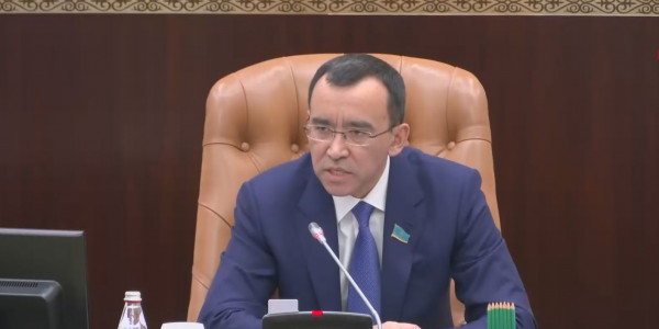 Сенат екі заң жобасын мақұлдады