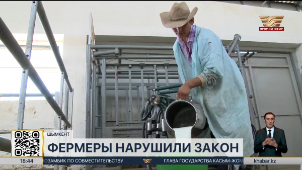 В Шымкенте вынесли приговор фермерам