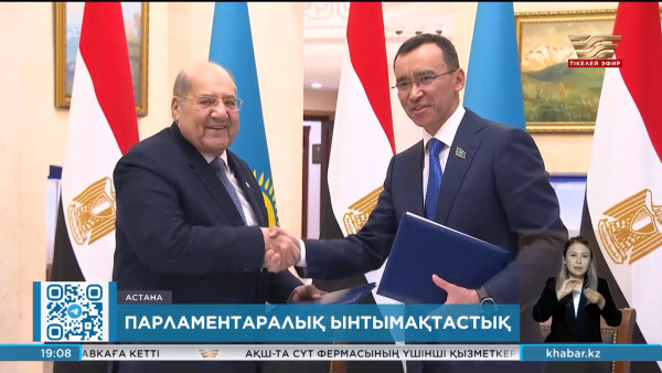 Мәулен Әшімбаев Мысыр Сенатының төрағасымен кездесті