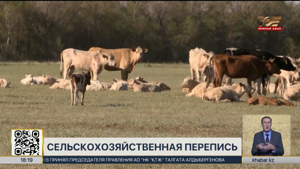 Национальная сельскохозяйственная перепись стартует в РК