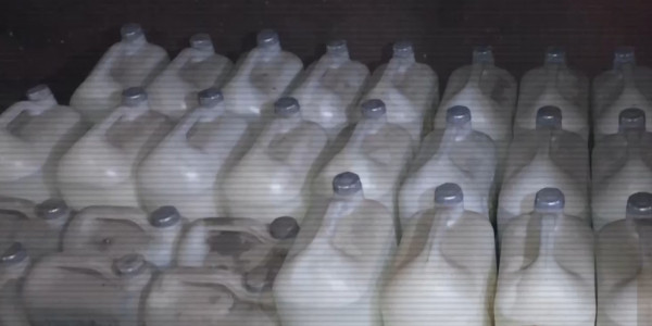 По данным МВД 8 нарколабораторий планировали запустить иностранцы в Казахстане