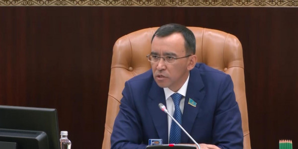 Сенат төрағасы мәслихат депутаттарымен өңірлерді дамыту мәселесін талқылады