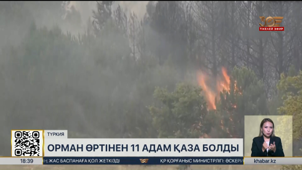 Түркияда орман өртінен 11 адам қаза болды
