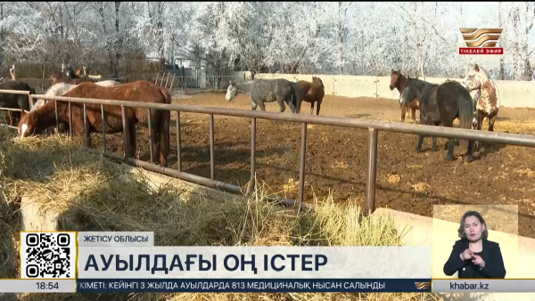 Жетісу облысындағы Ескелді би ауылында жаңа дәрігерлік амбулатория ашылды