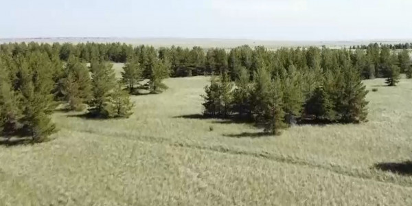 90 лет исполнилось Наурзумскому заповеднику