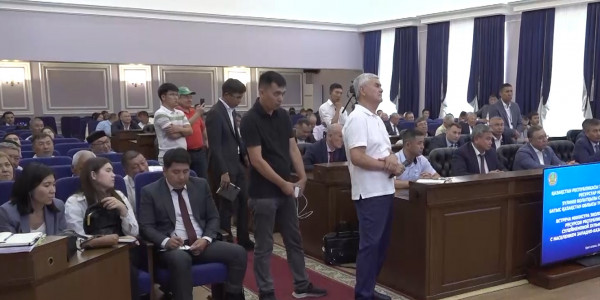 Фермеры ЗКО просят урегулировать численность сайги