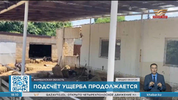 Специальная комиссия продолжает подсчёт ущерба от прошедшего ливня в Жанатасе