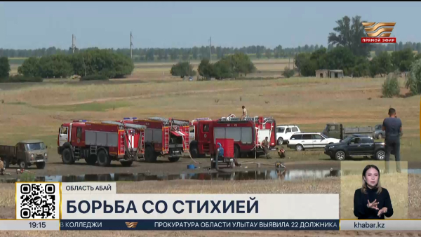 Открытое горение в «Семей орманы» ликвидировали