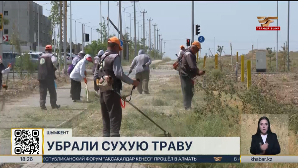 Экоакцию «Чистый четверг» провели активисты в Шымкенте