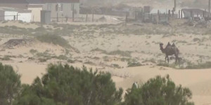 6 сел оказались завалены песком в Атырауской области