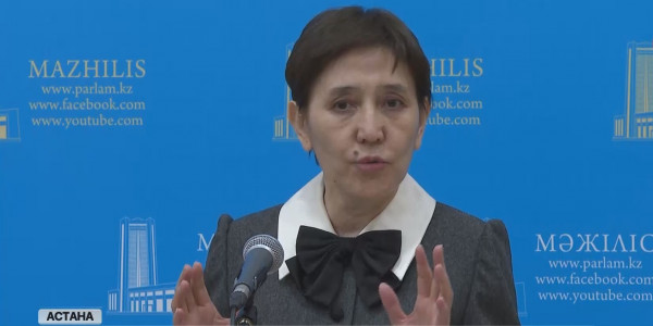 Мәжілістегі Үкімет сағатында әлеуметтік кодекс жобасы таныстырылды