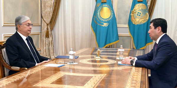 Глава государства принял Председателя Мажилиса Ерлана Кошанова