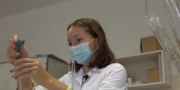 СҚО-дағы Қоскөл көлінде 600 кг балық қырылып қалды