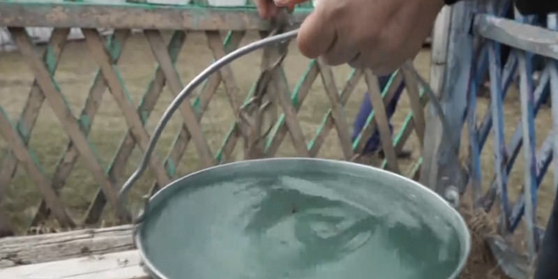 СҚО-да Пеньково ауылының тұрғындары таза судан таршылық көріп отыр