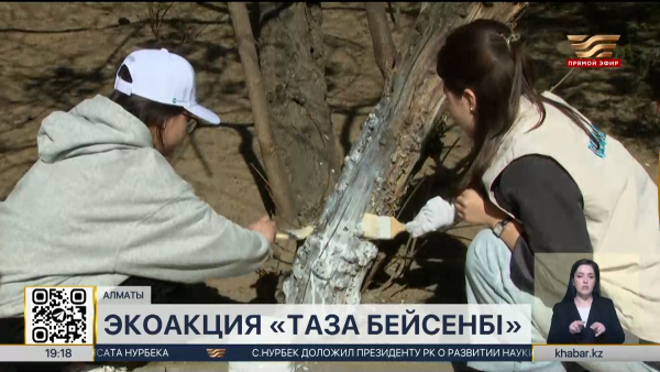 Экоакция «Таза бейсенбі» прошла в Алматы