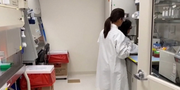 В Китае разрабатывают вакцины против коронавируса