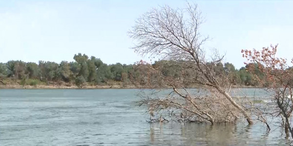 Түркістан облысында суға кеткен оныншы адамның денесі табылды