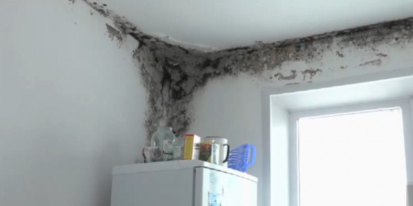 Многодетные семьи Павлодарской области жалуются на некачественное соцжилье