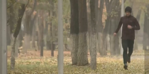 Беговой челлендж &laquo;100 км+&raquo;: лучший бегун о секрете успеха