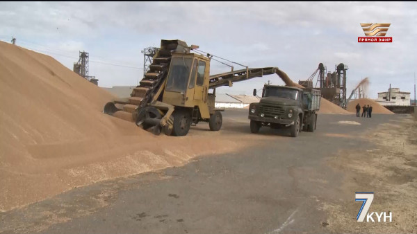 &laquo;Однозначно спекуляция&raquo;. Кто виноват в повышении цен на муку?