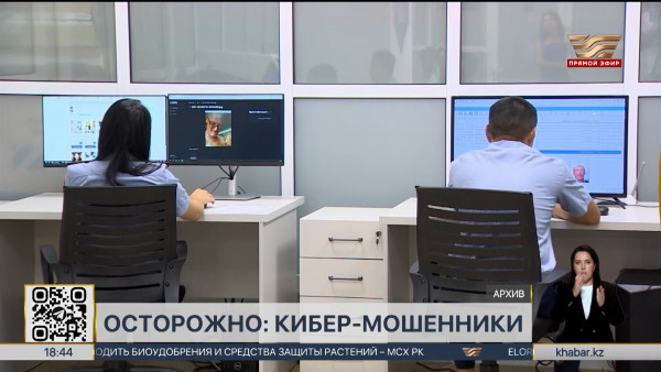 Ужесточить  наказание за интернет-мошенничество предложили в Сенате