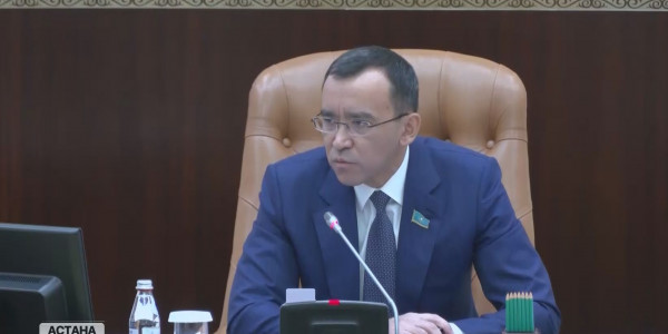 29-35 жас аралығындағылар &laquo;жастар&raquo; санатына кіреді