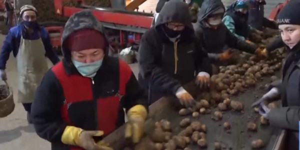 Павлодарлық шаруалар &laquo;Хабар&raquo; арнасының тілшілеріне алғыс айтты