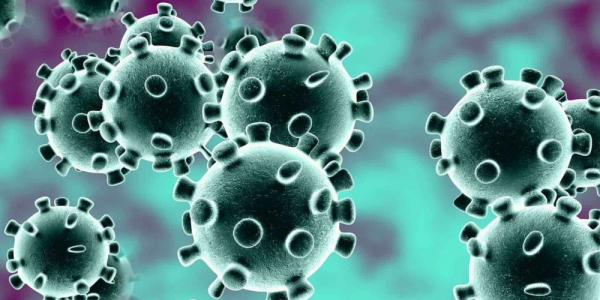 Выявлено еще 2 новых случая заражения коронавирусом в Алматы