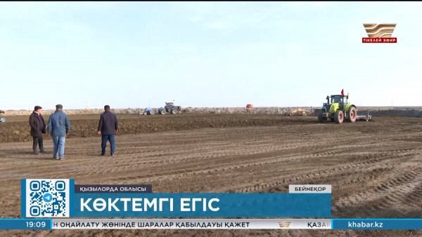 Қызылорда облысында бидай мен жоңышқа егу басталды