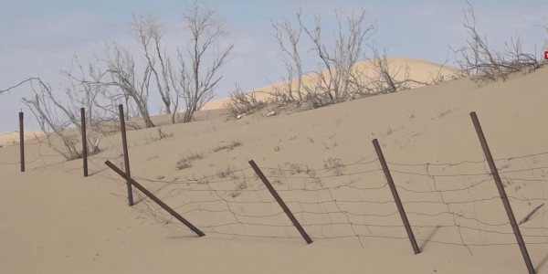 Маңғыстау облысындағы Сенек ауылын құм басу қаупі туды