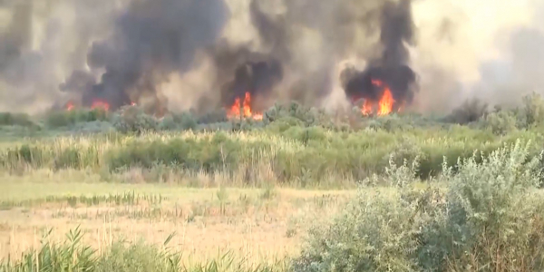 Алматы облысындағы дала өртінен 3 адам қаза тауып, 7 адам ауруханаға түсті