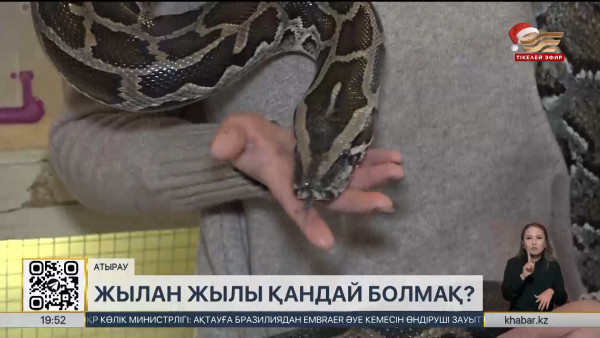 Жылан жылы қандай болмақ?