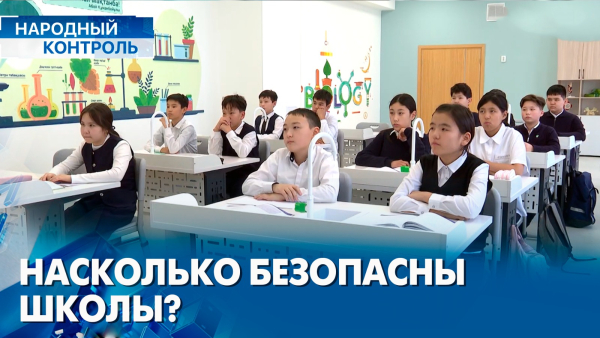 Безопасность детей в школах, антибуллинговые программы | «Народный контроль»