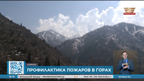 Круглосуточную систему раннего обнаружения пожаров запустили в Алматы